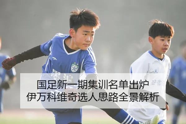 国足新一期集训名单出炉 伊万科维奇选人思路全景解析
