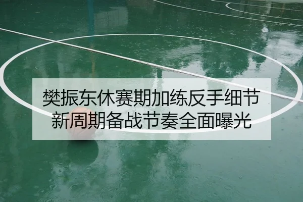 樊振东休赛期加练反手细节 新周期备战节奏全面曝光